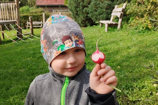 První křupavý pozdrav z řádku První křupavý pozdrav z řádku 1