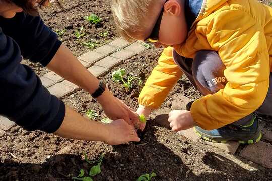 První letošní úroda 1