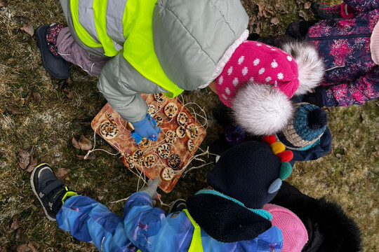 Ptačí krmítka - Kytičky 1