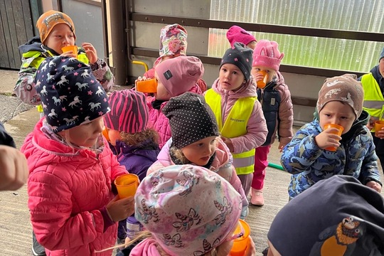 Moštování našich JABLÍČEK 1