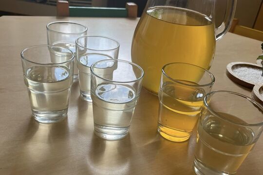 Domácí mátový sirup  1