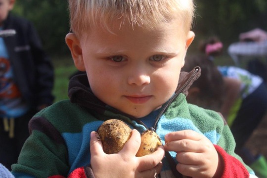 1. Poznáváme nepoznané aneb bez práce nejsou v našem případě brambory 1