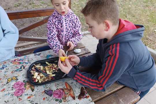 Zdravé pomazánky 1