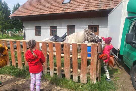 Ranč Bělečko 1