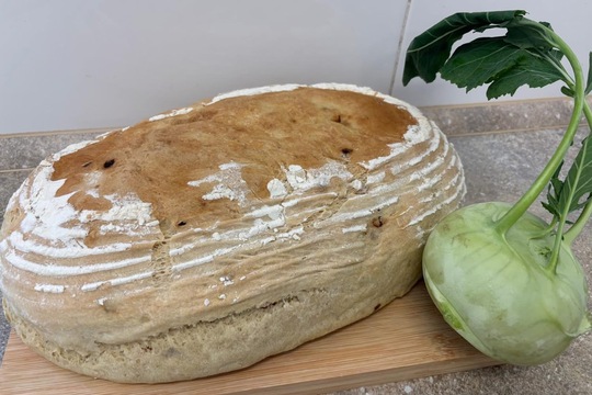 Vlastní a domácí  1