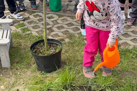 Nový přírůstek  1