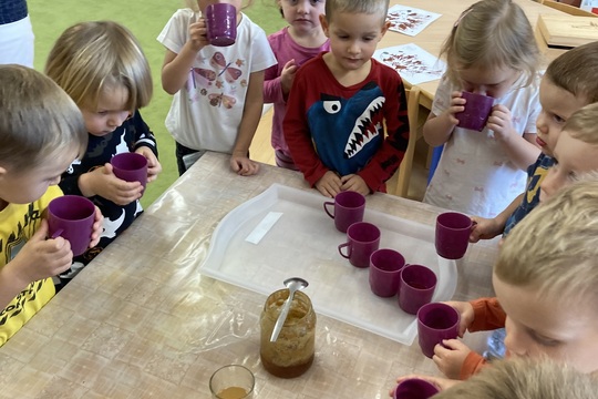 Vše o šípku - Berušky 1