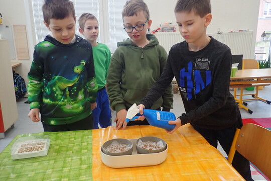 Pěstujeme microgreens 1