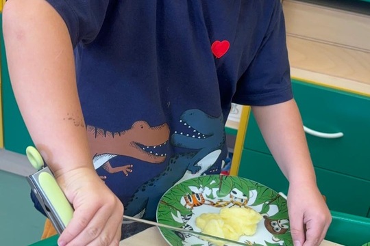 Možnost volby a rybí karbanátky  1