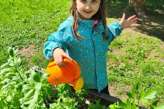 Naše malá školková zahrádka jen kvete Naše malá školková zahrádka jen kvete 1