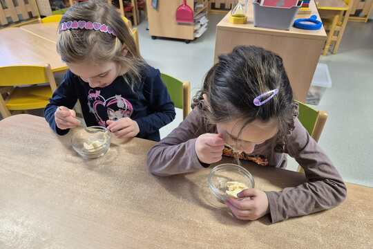 Zmrzlina ve sněhu 1