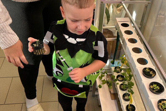 Péče o bylinky z hydroponické zahrádky Péče o bylinky z hydroponické zahrádky 1