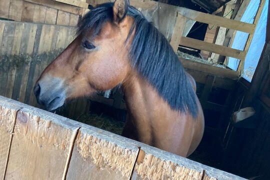 Naše školka v přírodě na farmě 1