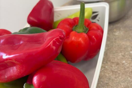 Paprika jako propojené aktivity  1