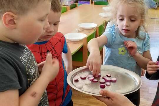 První letošní úroda 1