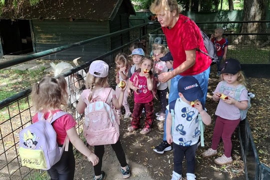 VÝLET DO MINI ZOO ČASTOLOVICE VÝLET DO MINI ZOO ČASTOLOVICE 1