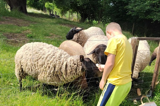 Na farmě v Prušánkách 1