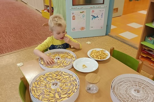 Jablečné křížaly a čaj 1