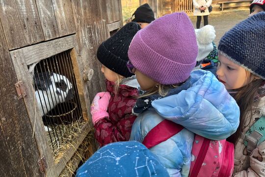 Vánoce na dědině Vánoce na dědině 1