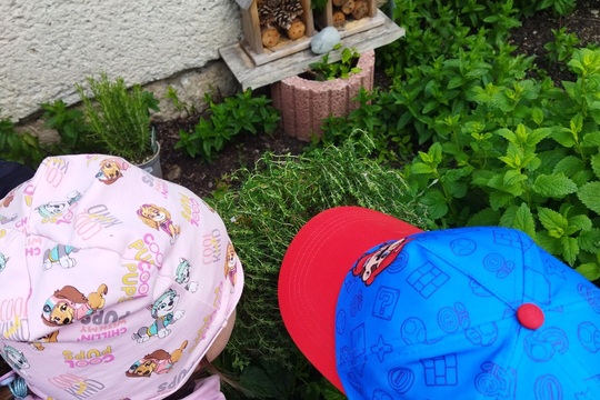 Jaro u nás na zahrádce Jaro u nás na zahrádce 1