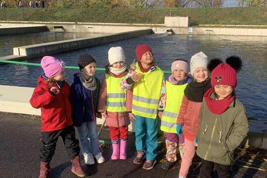 Výlov rybníka Výlov rybníka 1