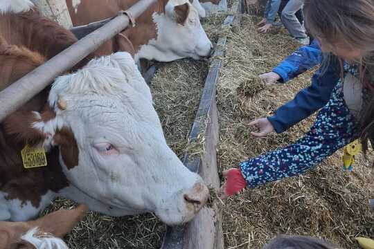 Výlet na Zlatou farmu  1