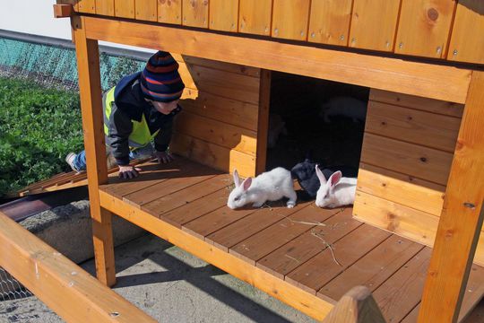 Děti na králičí farmě Kočárových v Ratibořicích 1