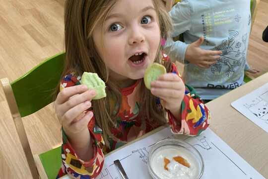 Berušek Ledové sušenky  1