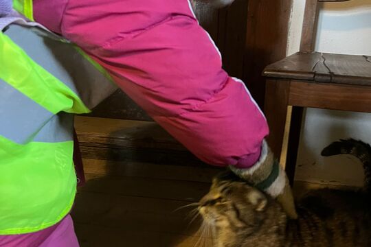 Vánoce na dědině Vánoce na dědině 1