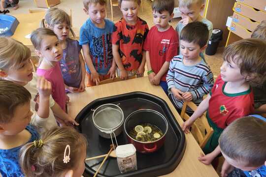 Pampeliškový med - Sluníčka 1