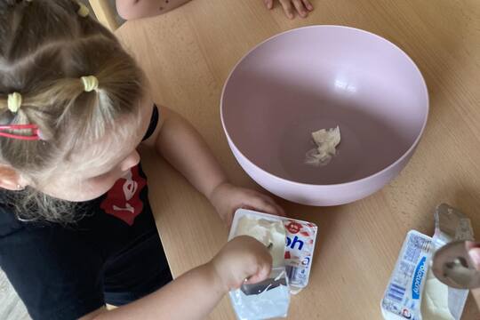Kytičky z MŠ Kollárova-Domácí tvarohová zmrzlina 1
