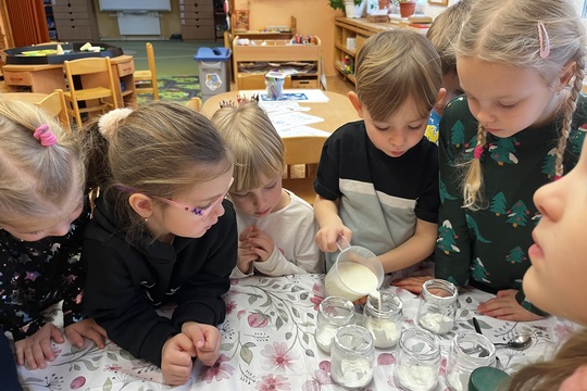 Domácí jogurt - Kytičky 1