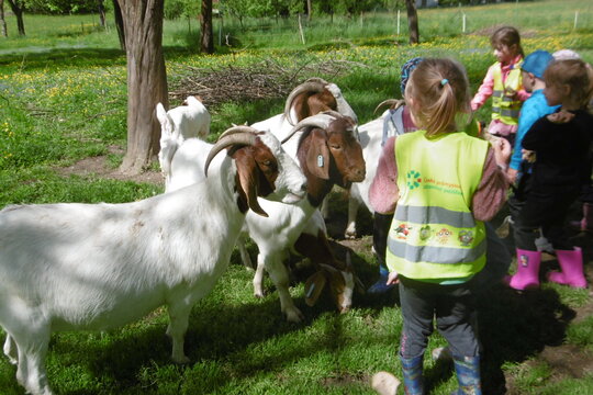 Na malinké rodinné farmě 1