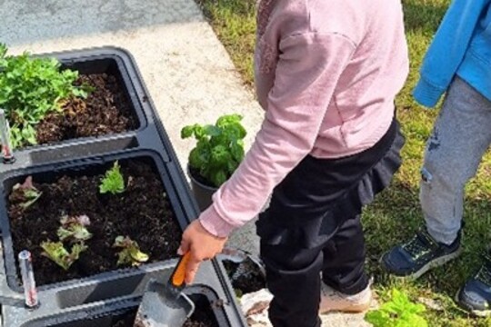 Školní zahrada, o kterou pečujeme společně Školní zahrada, o kterou pečujeme společně 1