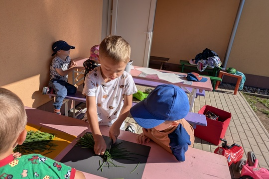 Podzimní sklizeň pažitky u Motýlků 1