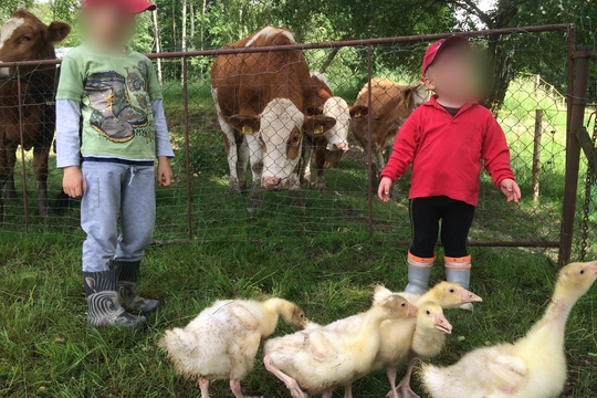 Léto plné zážitků Léto plné zážitků 1