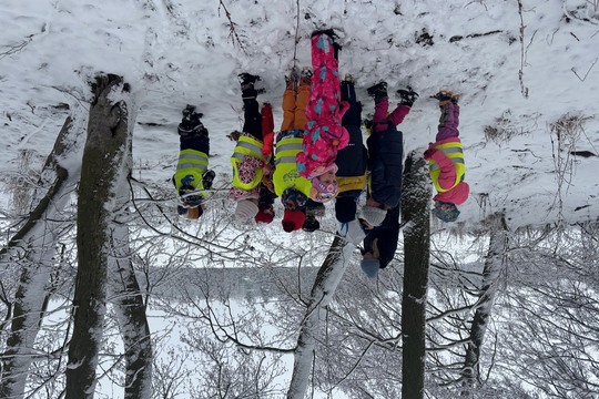 Dobroty pro zvířátka - Sluníčka 1