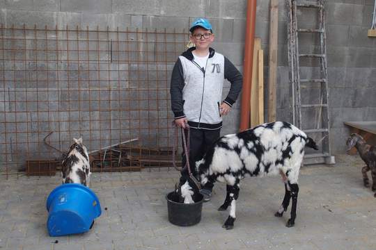 Žáci ZŠ Oskol se pravidelně učí na farmě 1