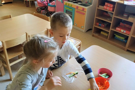 Chefs in Training - Spring Rolls 1