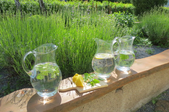 Den vody 1