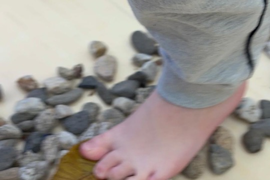 Jsme školka v pohybu Jsme školka v pohybu 1