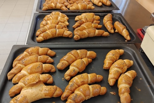 Domácí špaldové rohlíčky 1