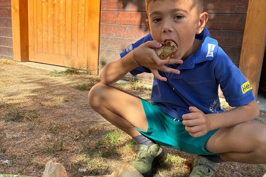 Švestkový koláč u Sluníček Švestkový koláč u Sluníček 1