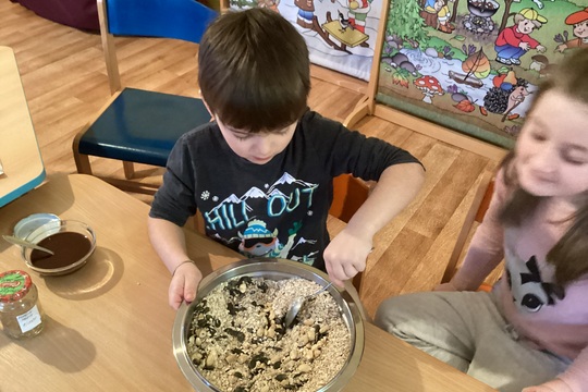 DOMÁCÍ GRANOLA 1