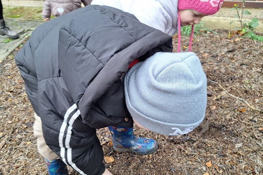 MŠ Dukelských hrdinů - Na jeden den zahradníkem 1