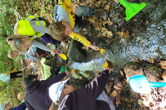 Studánková víla a čištění studánek 1