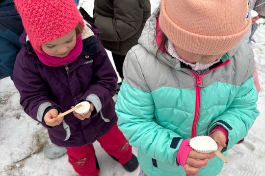 Výroba domácí zmrzliny  1