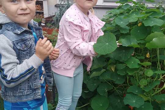 Broučci a kouzelné pesto z lichořeřišnice 1