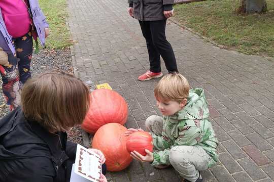 Farmářské trhy Farmářské trhy 1