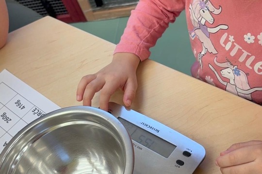 Naše zvířata - naše starost  1